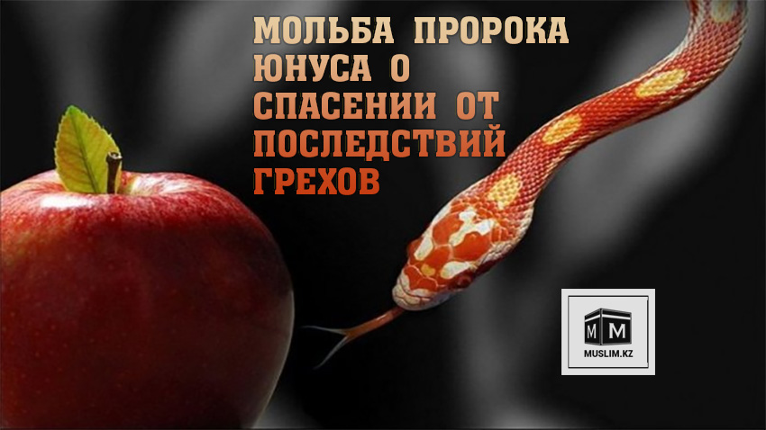 дуа в ките юнуса