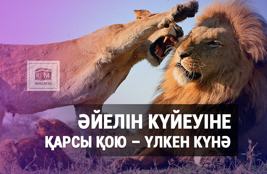 Порно Кортни Свит